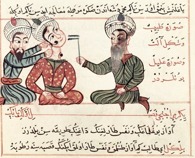 Ms Sup Turc 693 fol.29v كوى اللولب ، 1466 بواسطة شرف الدين